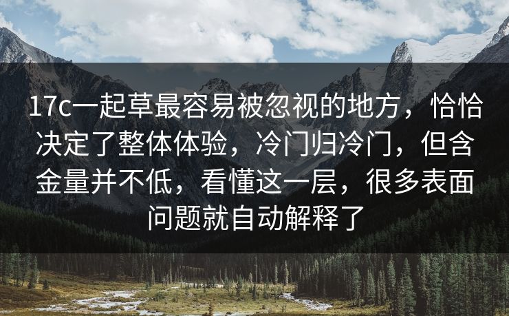 17c一起草最容易被忽视的地方，恰恰决定了整体体验，冷门归冷门，但含金量并不低，看懂这一层，很多表面问题就自动解释了